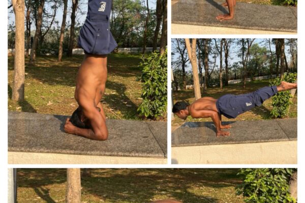 Yoga Excercises: To Keep You Healthy And Successful.